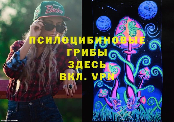 Альфа ПВП Алексин