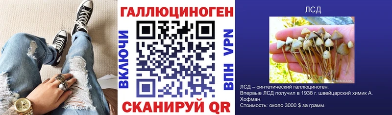 Галлюциногенные грибы MAGIC MUSHROOMS  наркотики  Абинск 